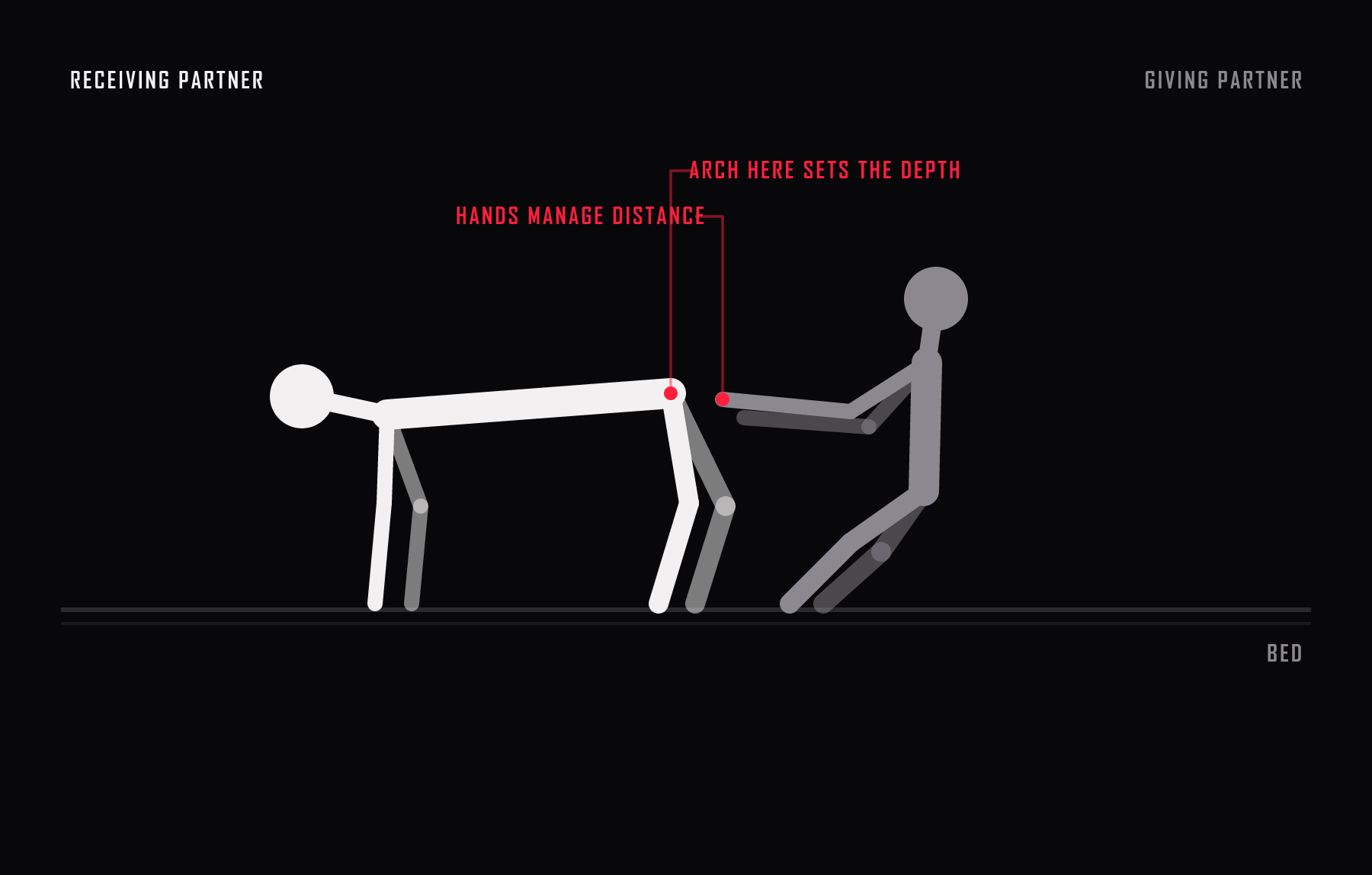Side view of doggy style. The receiving partner is on hands and knees, the giving partner kneels behind with hands on the hips. The arch of the lower back is marked as the control that sets depth.