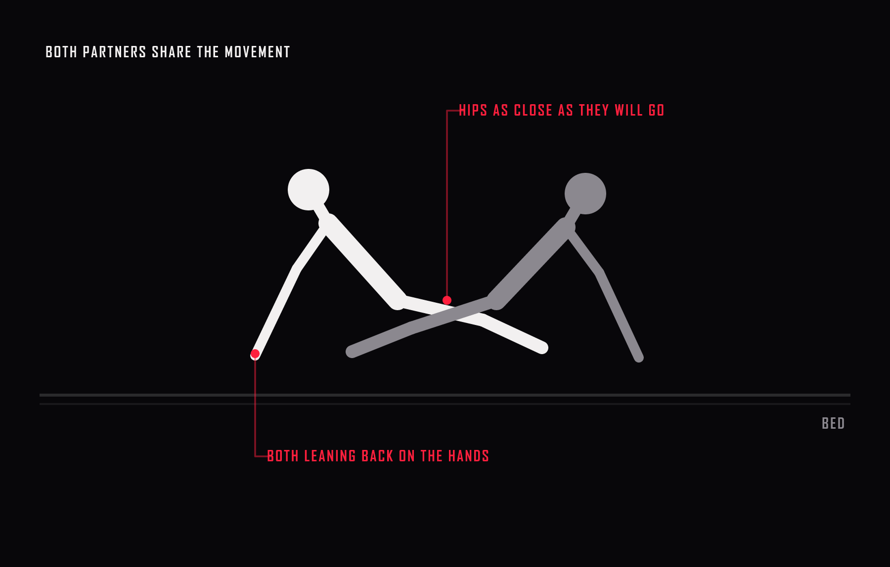 View of the spider. Both partners sit facing each other, leaning back on their hands with the legs interlaced, and both are responsible for the movement.